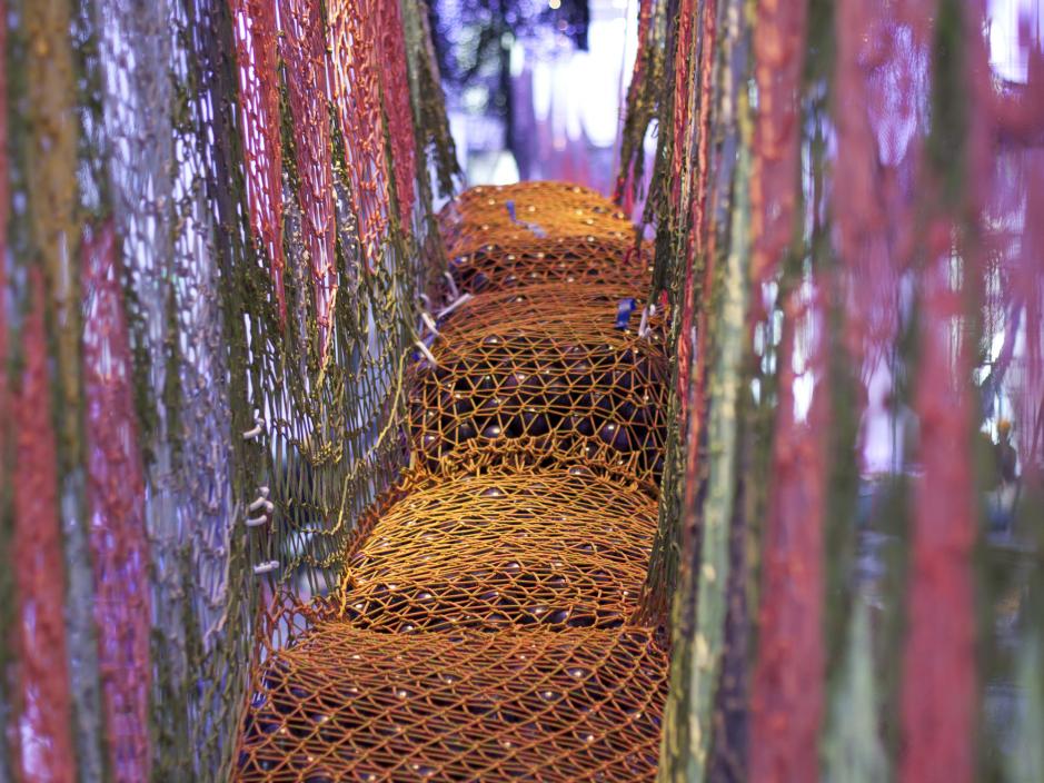 colourful nets hanging from the ceiling